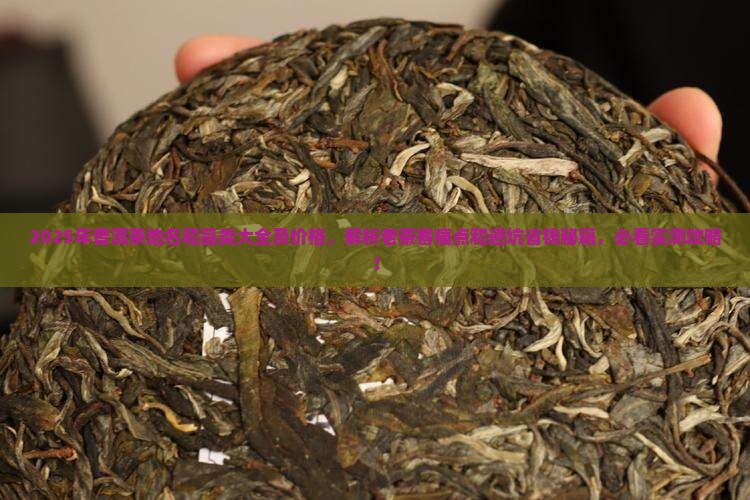 普洱茶地名和品类大全及价格