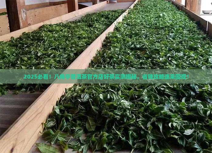 八角亭普洱茶官方店好茶