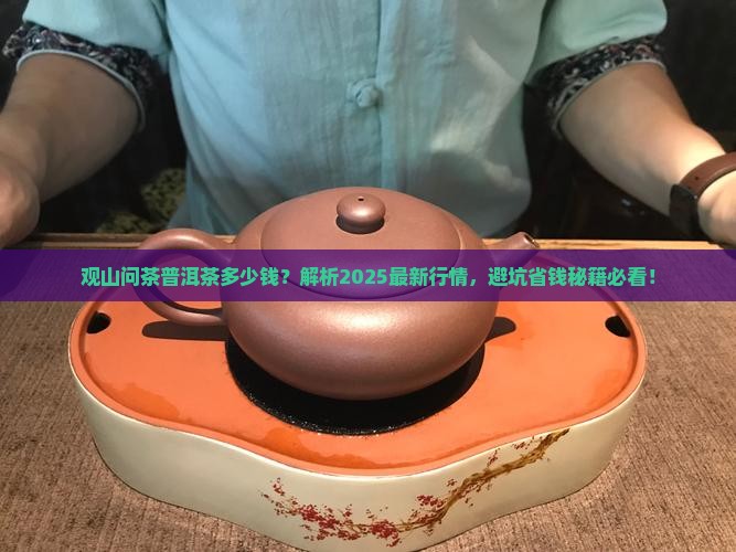 观山问茶普洱茶多少钱