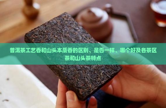 普洱茶工艺香和山头本质香