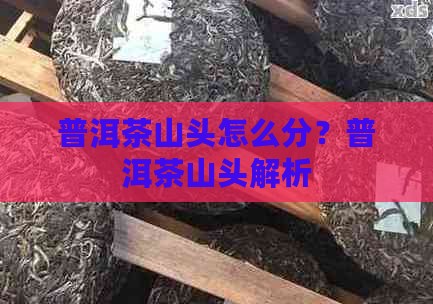 普洱茶怎么分山头