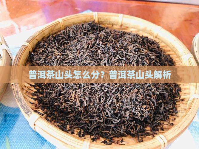 普洱茶怎么分山头