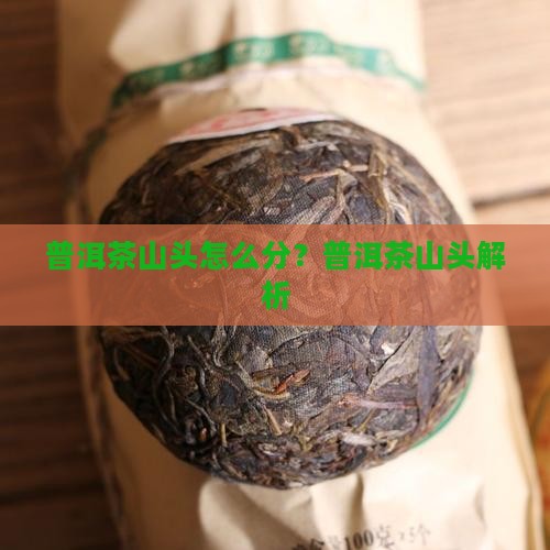 普洱茶怎么分山头