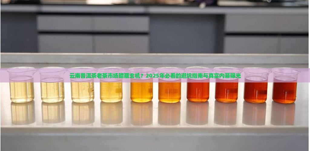 云南普洱茶老茶批发市场