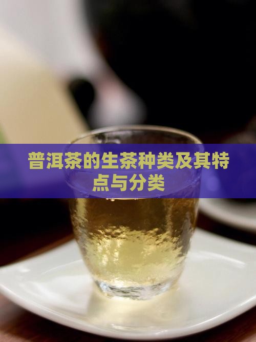 普洱茶的生茶种类