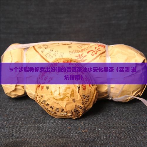 普洱茶注水安化黑茶怎么煮