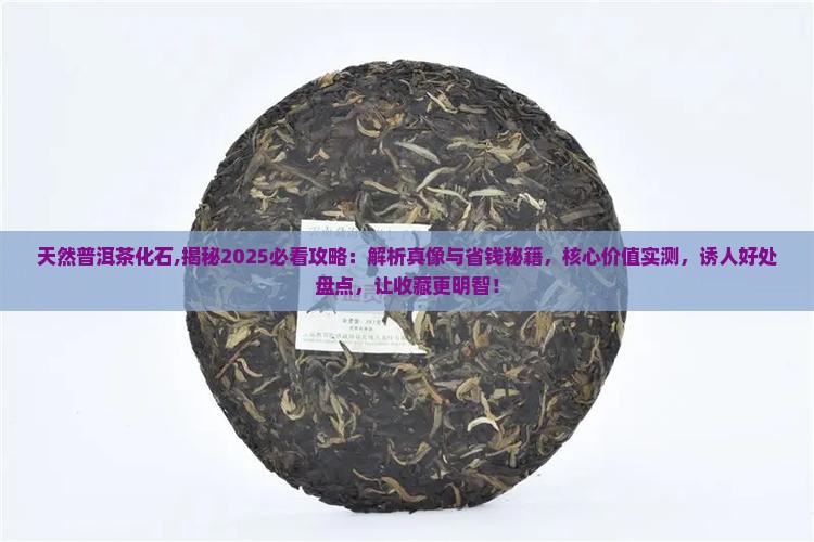 天然普洱茶化石