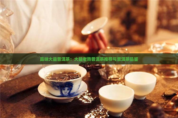 品味大益老熟普洱茶