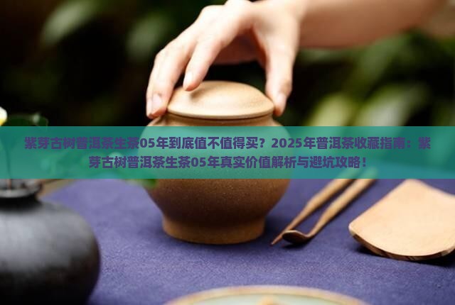 紫芽古树普洱茶生茶05年
