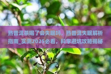 熟普洱茶喝了会失眠吗