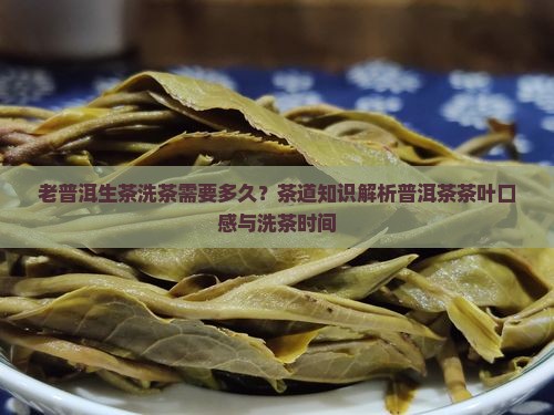 老普洱生茶洗茶需多久 老普洱生茶洗茶需多久