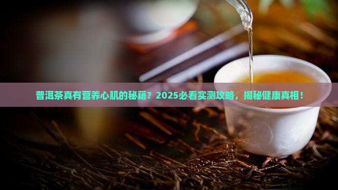 普洱茶营养心肌