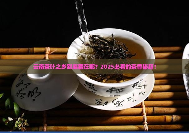 云南茶叶之乡都在什么地方