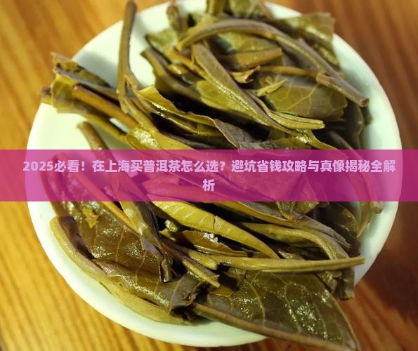 在上海买普洱茶怎么样选