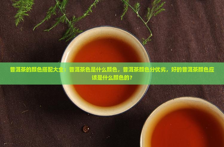 普洱茶的颜色搭配大全