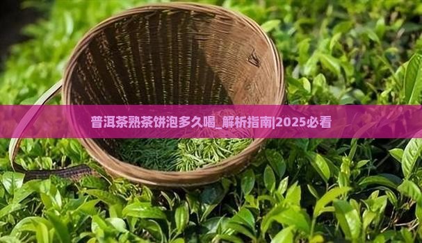 普洱茶熟茶饼泡多久喝