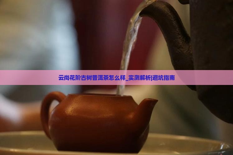 云尚花阶古树普洱茶怎么样