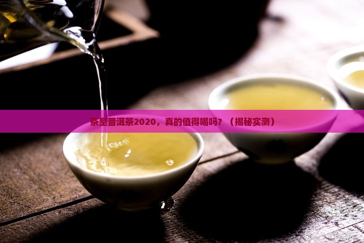 茶皇普洱茶2020