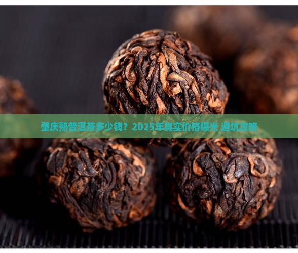 肇庆熟普洱茶多少钱