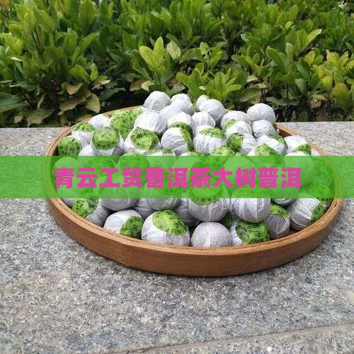 青云工贸普洱茶绿大树