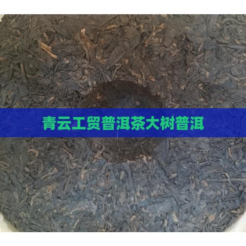 青云工贸普洱茶绿大树