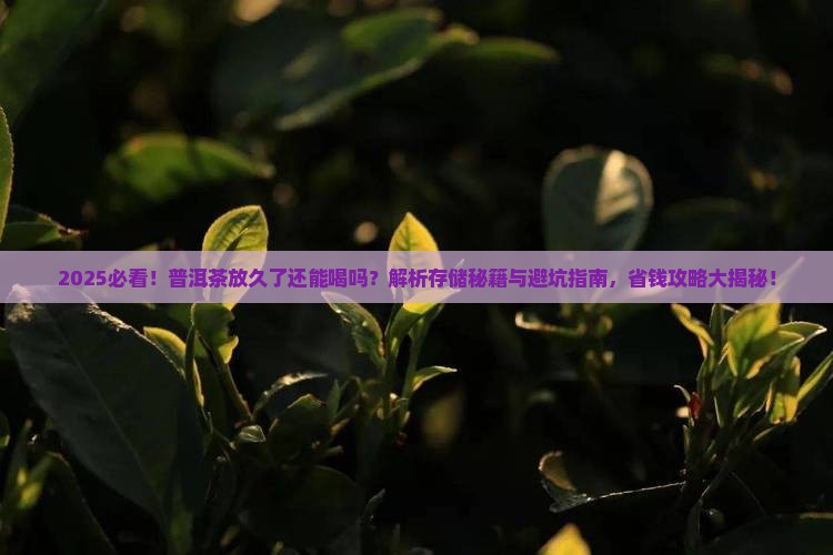 普洱茶放久了还能喝