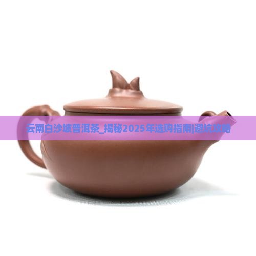 云南白沙坡普洱茶