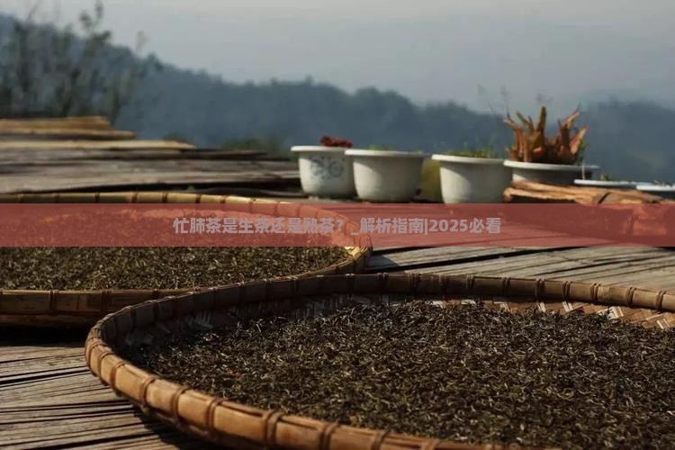 忙肺茶是生茶还是熟茶