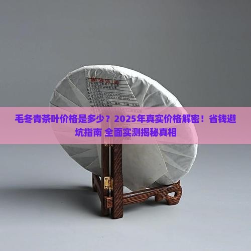 毛冬青茶叶价格是多少