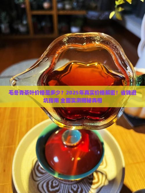 毛冬青茶叶价格是多少