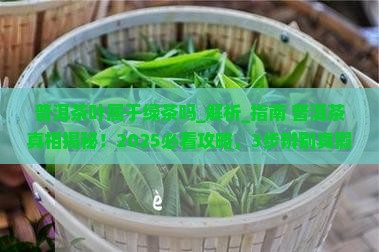 普洱茶叶属于绿茶吗