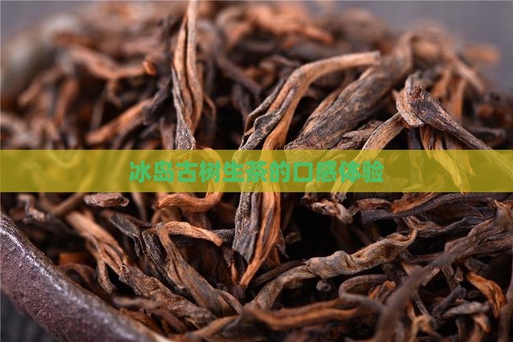 冰岛古树生茶的味道
