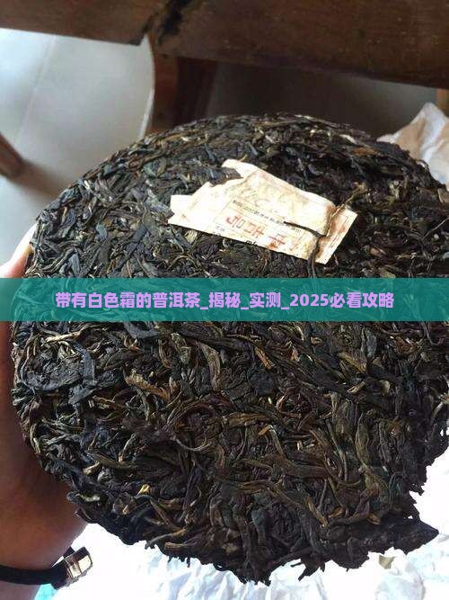 带有白色霜的普洱茶