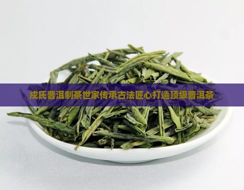 戍氏普洱制茶世家