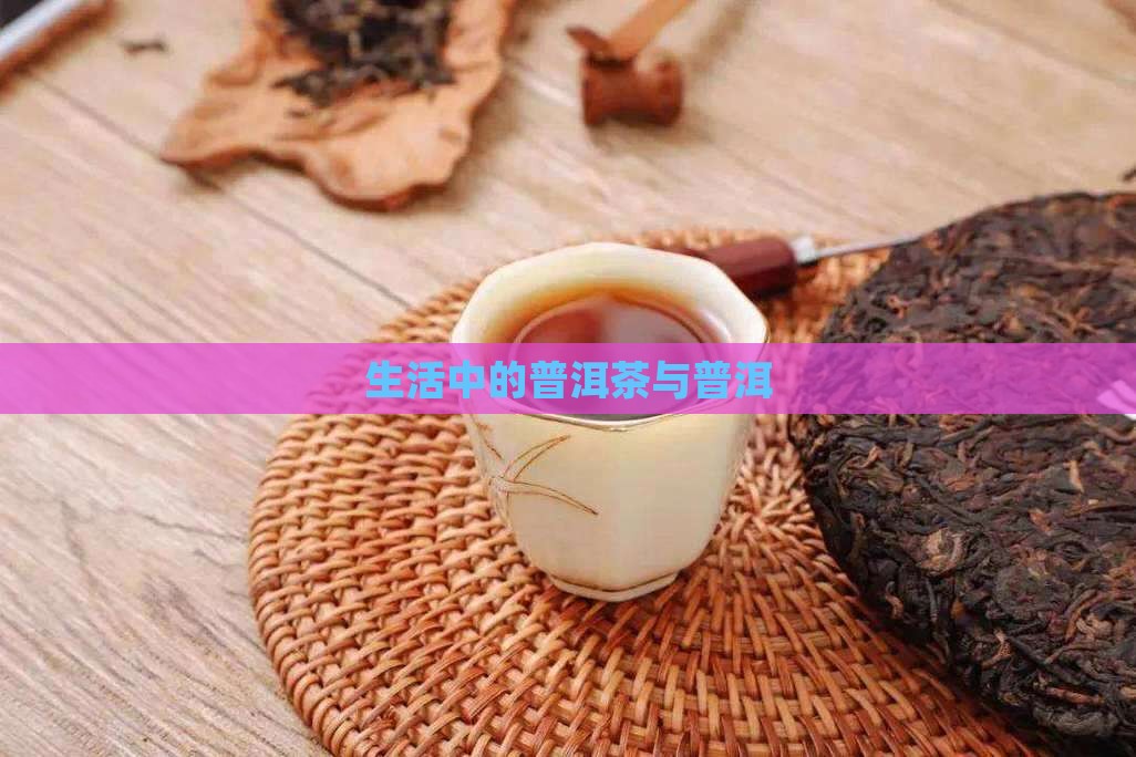 生活元素普洱茶