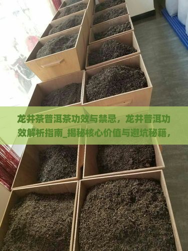 龙井茶普洱茶功效与禁忌