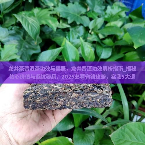 龙井茶普洱茶功效与禁忌