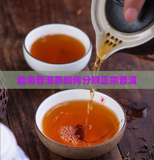 普洱茶怎么分辨云南勐海普洱茶