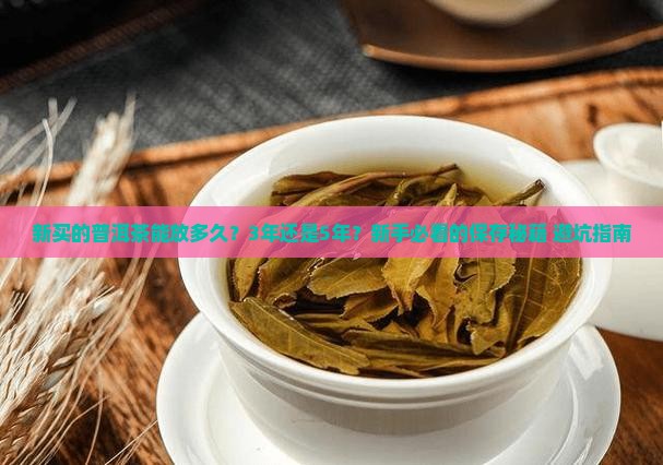 新买的普洱茶如何保存多久