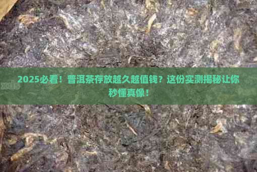 普洱茶存放越久价值越高