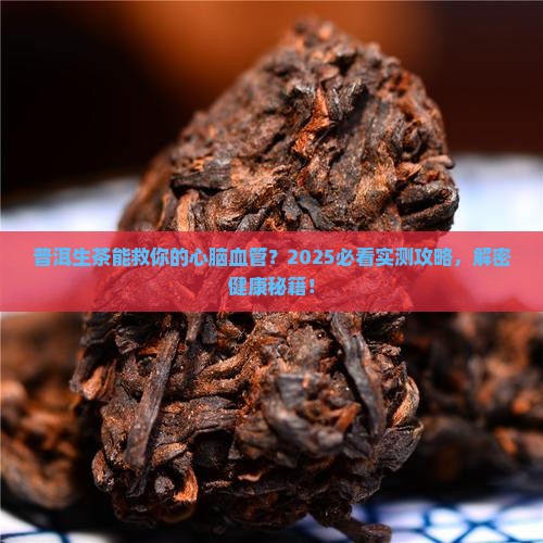 普洱生茶对心脑血管有什么好处