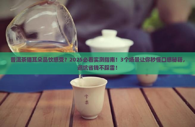 普洱茶猫耳朵品饮感受