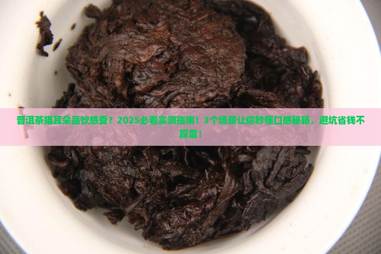 普洱茶猫耳朵品饮感受