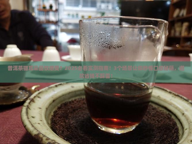 普洱茶猫耳朵品饮感受