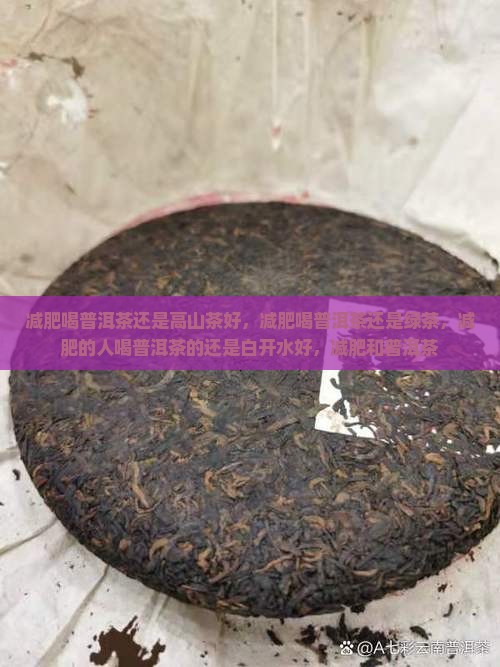 减肥喝普洱茶还是高山茶 减肥喝普洱茶还是高山茶