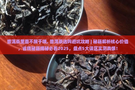 普洱茶里面不属于哦