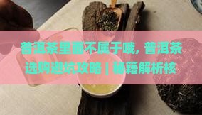 普洱茶里面不属于哦