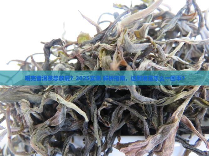 喝完普洱茶就放屁怎么回事