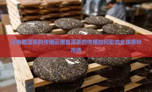 云南普洱茶的传播