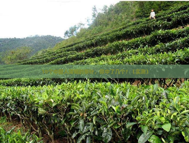 中国前十茶叶品牌
